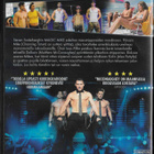 Magic Mike - pikkukuva 2