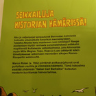 Walt Disney Aku Ankka - Kuninkaan kultainen istuin - pikkukuva 2