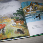 Mitä nyt, Pupu Tupuna? -sid - pikkukuva 3