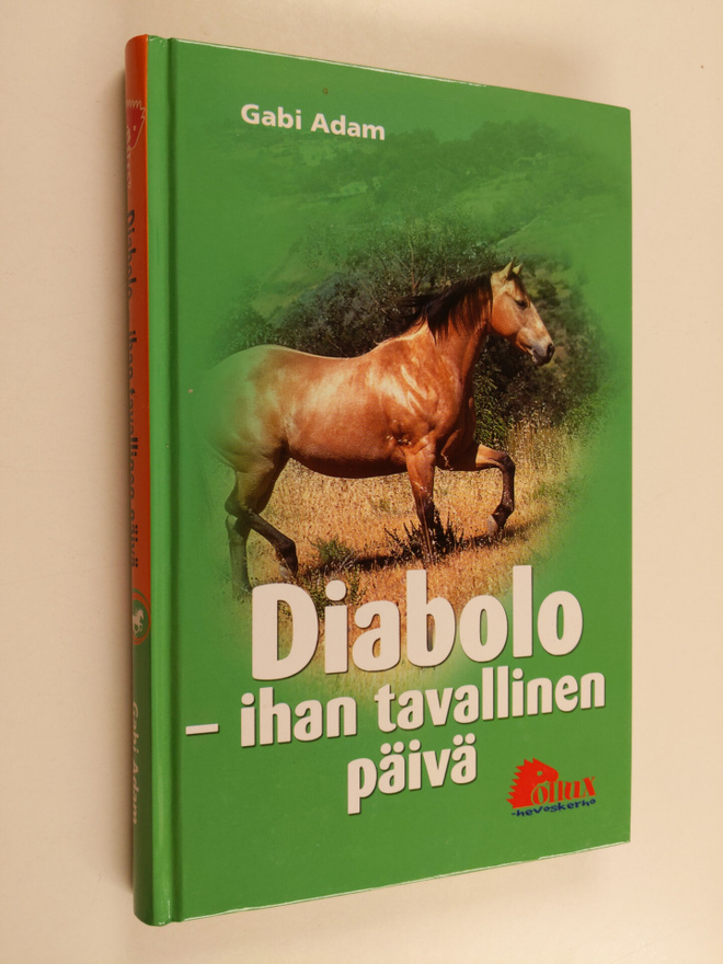 Gabi Adam : Diabolo : ihan tavallinen päivä