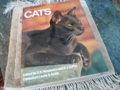 International Encyclopedia of Cats v.1980 Kuin uusi