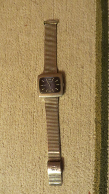 citizen rannekello 66-0100 vetokello