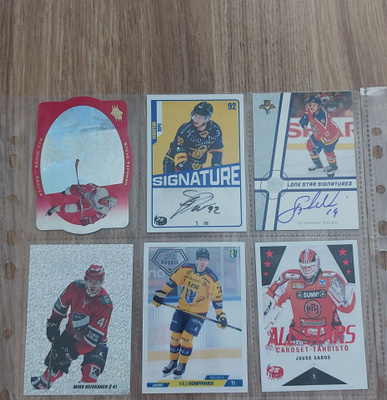 Sebastian Repo 1/100 ym kortteja