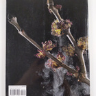 Adrian Davies : Digital plant photography - pikkukuva 2