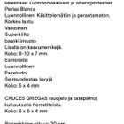 Smaragdisormus 17ct 18mm&helmihematiitti rannekoru koko 20 - pikkukuva 4