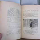 Theo. v. Blankenseé: Tsaarin kavaltajat,  F. Österlund 1907 - pikkukuva 5