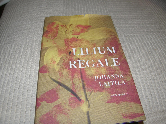 Johanna Laitila Lilium regale  -sid