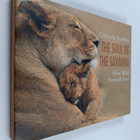 Gabriela Staebler : The Soul of the Savanna : How Wild An... - pikkukuva 1