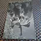 11 Aulangon Joutsenet - pikkukuva 1