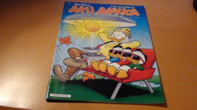 AKU ANKKA nro 45/2013