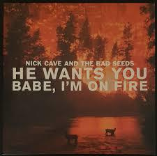Nick Cave & The Bad Seeds - He Wants You CDS