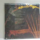 GREEDY PIG - RYE RYE MAN EX+/ M- LP KOELEVY RARE!! - pikkukuva 2