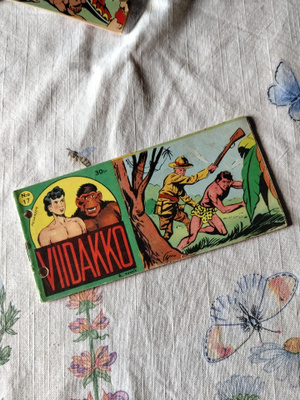 viidakko 6 vsk 17