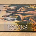 Jenji Kohanin WEEDS: Kausi 2 (2DVD) Mary-Louise Parker - pikkukuva 3