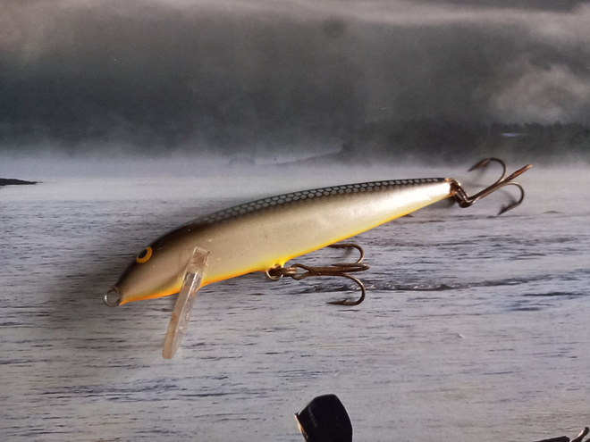 Rapala CD-9