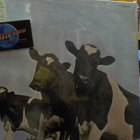 PINK FLOYD - ATOM HEART MOTHER EEC PRESS M-/EX+ LP -74 eec - pikkukuva 1