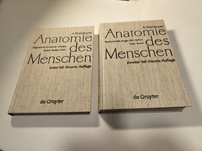 Anatomie des Menschen 1-2