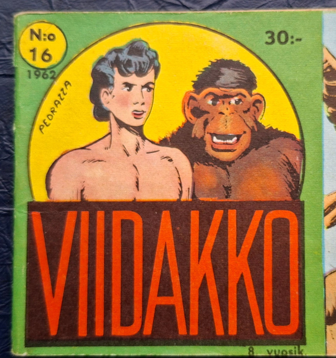 Viidakko liuska lehtiä 6 kpl.