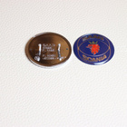 Saab konepellin merkki, SAAB-SCANIA – 50mm - pikkukuva 2