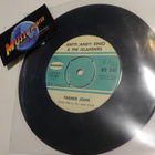 ANTTI EINIÖ & THE ISLANDERS - FARMER JOHN VG+ 7'' SINGLE - pikkukuva 1