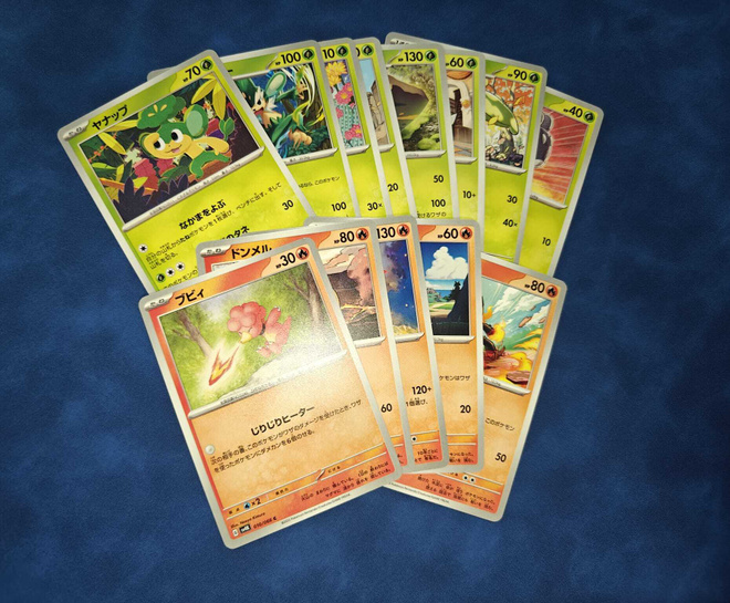 Pokémon Ancient Roar 4