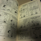 Charles M. Schulz / Ressu eduskuntaan - pikkukuva 5