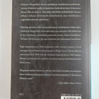 J. P. Donleavy : Holtiton mies - pikkukuva 2
