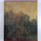 Pietro C. Marani : Leonardo : Leonardo da Vincin taide (n... - pikkukuva 2