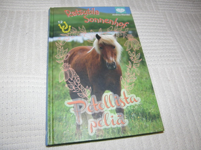 Andrea Wandel Petollista peliä