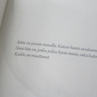 Sylissäni - Riitta Kiiveri - pikkukuva 5