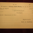 Ehiökortti 8 pen vihreä. 1871.-stationery post card - pikkukuva 2