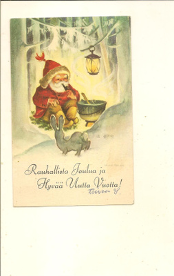 IRMA SALMI ,,,, PUKKI JA PUPU ,,,, KUVAT. 376