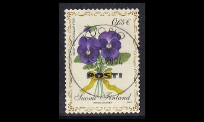 1641 o Pääsiäinen orvokki loisto Kuopio 5.4.2004 (2003)