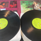 Alvin Lee: In Flight  2LP - pikkukuva 3