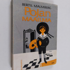 Bertil Malmberg : Pojan maailma - pikkukuva 1