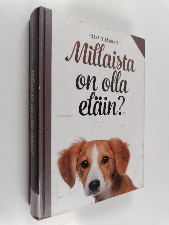 Helena Telkänranta : Millaista on olla eläin