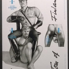 Tom of Finland -pienoisarkki 2014, leimattu ja postituore - pikkukuva 3