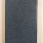 Anais Nin : Pikkulinnut : eroottisia novelleja - pikkukuva 2