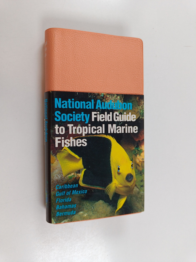 C. Lavett Smith : National Audubon Society Field Guide to...