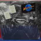 GODS AMERICA - MERGE WITH THE INFINITE U.S 2016 EX+/EX- LP - pikkukuva 1