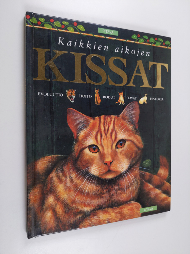 Amanda O`Neill : Kaikkien aikojen kissat
