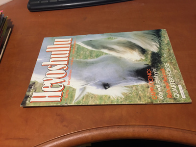 HEVOSHULLU 21/1987 HYVÄ