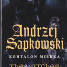 Andrzej Sapkowski: Noituri 2 Kohtalon miekka (nide) - pikkukuva 1