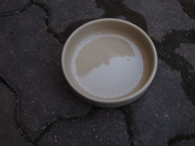 Keraaminen ruokakuppi ø 12,5 cm (v)