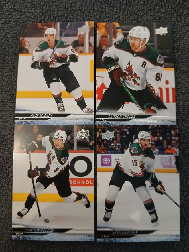 Arizona Coyotes x 4kpl