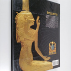 Francesco Tiradritti : Egyptian Treasures from the Egypti... - pikkukuva 2