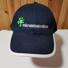 Mikrobitekniikka Lippis - pikkukuva 1