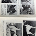 Suomen Kennel-Liiton jäsenlehdet vsk 1956 - pikkukuva 4