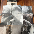 Lou Reed - The Raven 2 x cd - pikkukuva 5