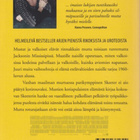 Kathryn Stockett: Piiat - pikkukuva 2